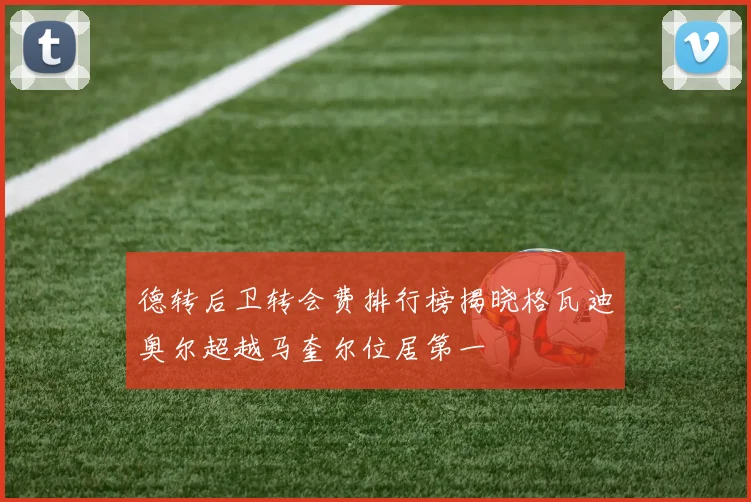德转后卫转会费排行榜揭晓格瓦迪奥尔超越马奎尔位居第一