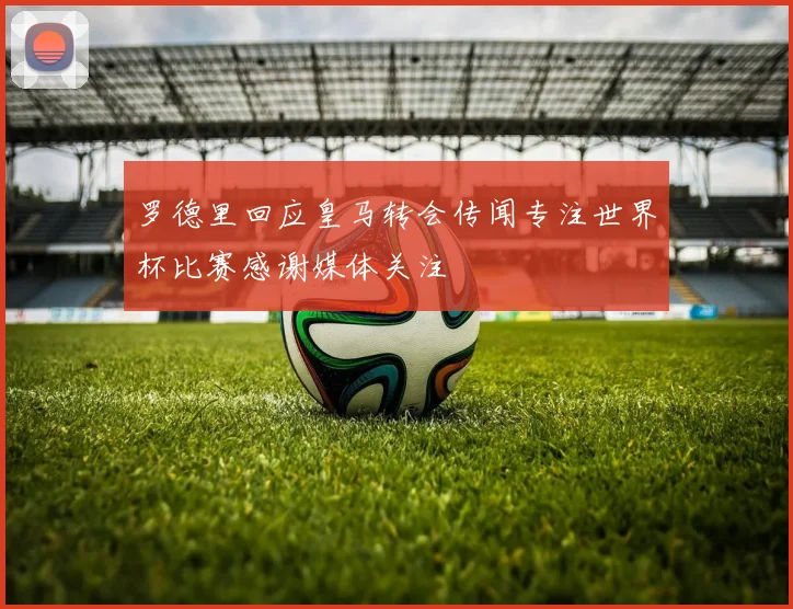 罗德里回应皇马转会传闻专注世界杯比赛感谢媒体关注